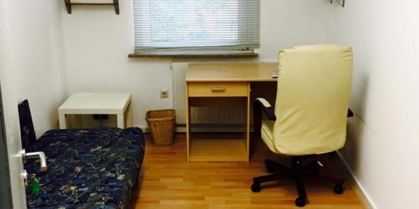 13332948_584912848336008_3722844305306149876_n